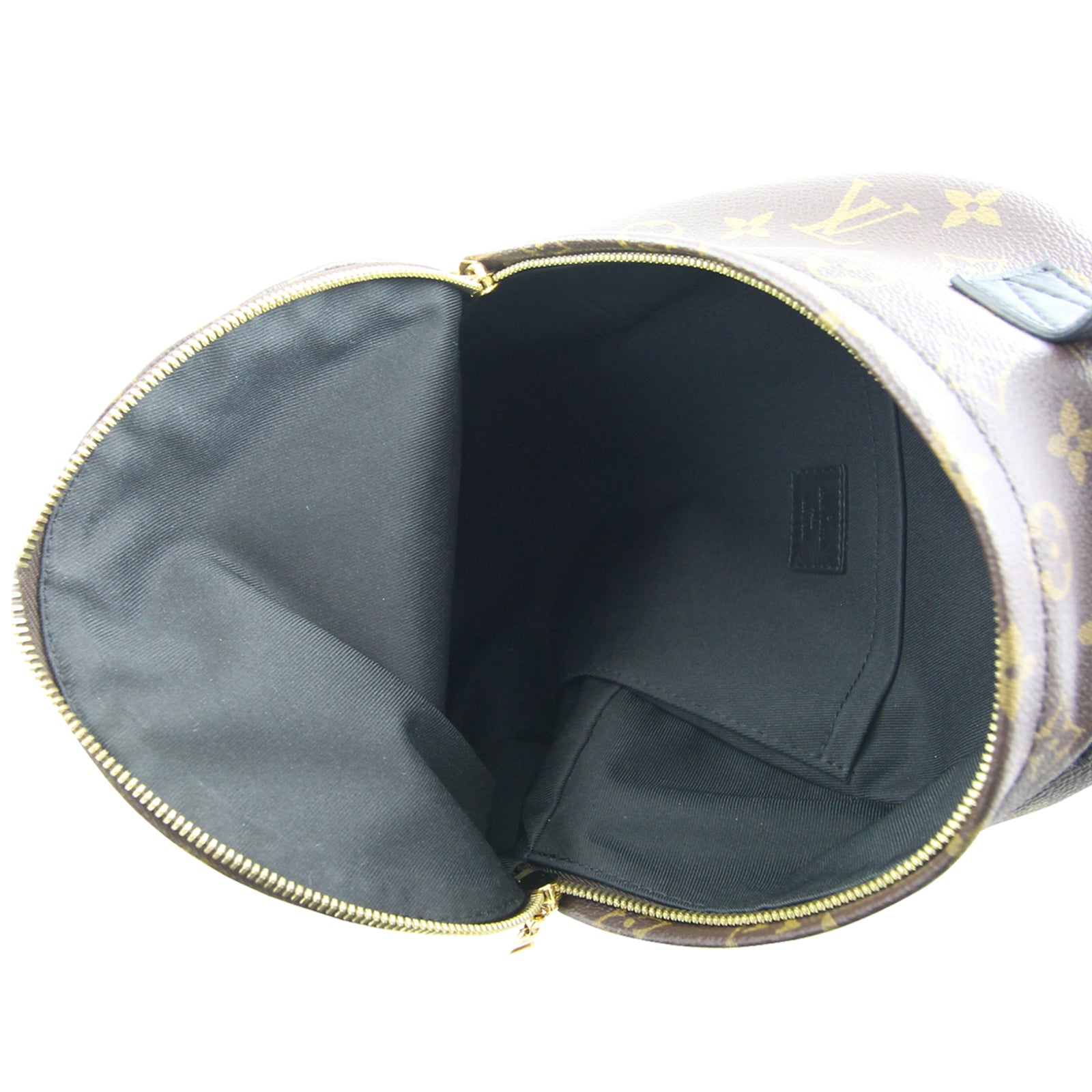 Louis Vuitton Palm Springs Mini Backpack Interior