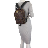 Louis Vuitton Palm Springs Mini Backpack Mannequin