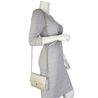 Chanel Sevruga Wallet on Chain