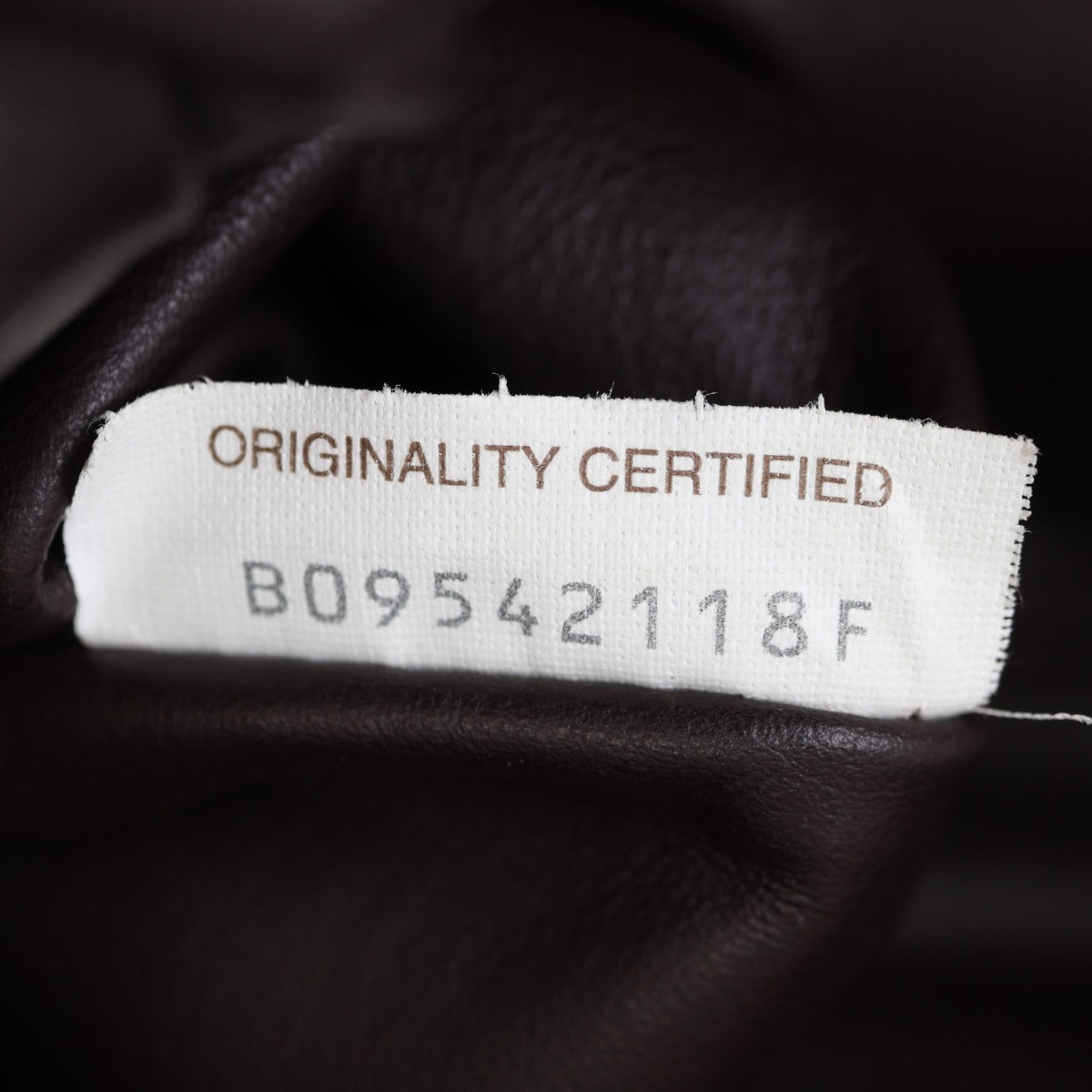 Bottega Veneta The Chain Pouch