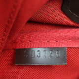 Louis Vuitton Favorite PM Damier Ebene