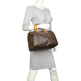 Louis Vuitton Speedy 30 Monogram