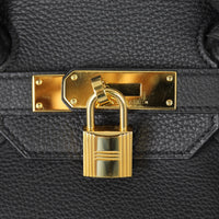Hermes Birkin 35 Togo