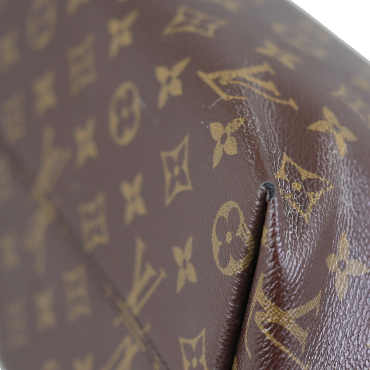 Louis Vuitton Iena PM Monogram Corner
