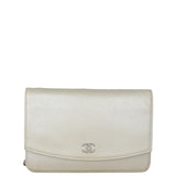 Chanel Sevruga Wallet on Chain