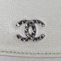 Chanel Sevruga Wallet on Chain