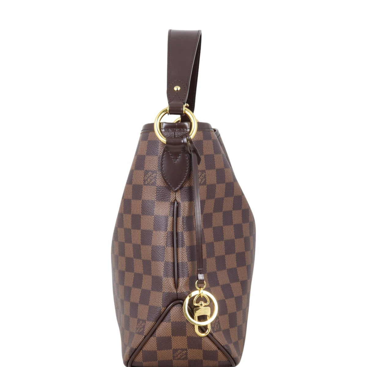 Louis Vuitton Delightful PM Damier Ebene