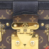 Louis Vuitton Petite Malle Monogram Wear