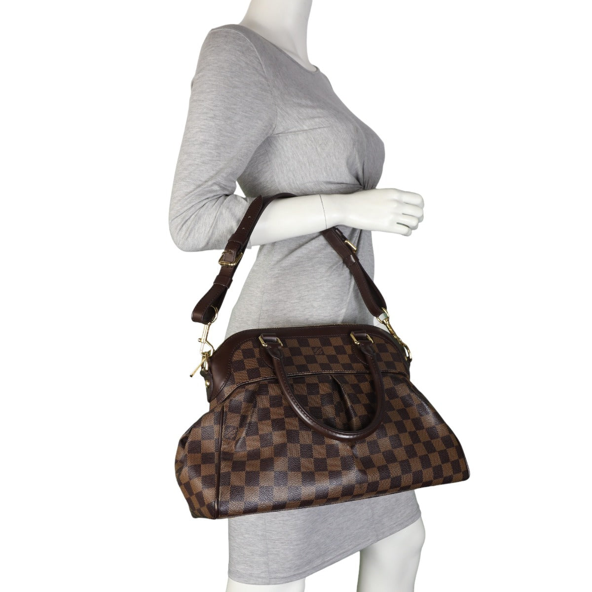 Louis Vuitton Trevi PM Damier Ebene