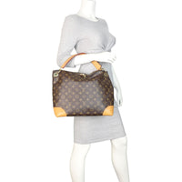 Louis Vuitton Berri PM Monogram