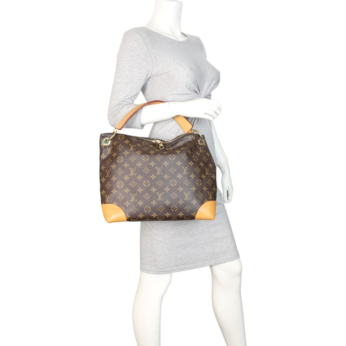 Louis Vuitton Berri PM Monogram