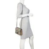 Gucci Dionysus GG Supreme Mini Shoulder Bag