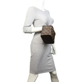 Louis Vuitton Nice Mini Beauty Case Monogram