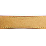 Louis Vuitton Sully MM Monogram handle