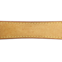 Louis Vuitton Sully MM Monogram handle