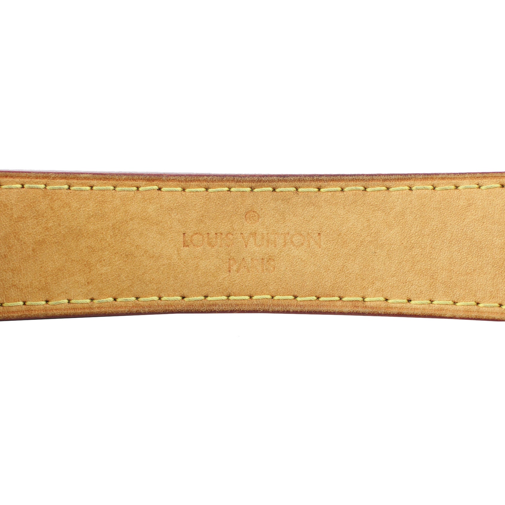 Louis Vuitton Sully MM Monogram handle