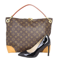 Louis Vuitton Berri PM Monogram