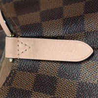 Louis Vuitton NeoNoe Damier Ebene