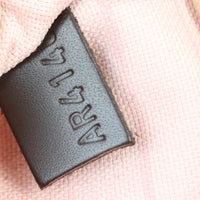 Louis Vuitton Neverfull MM Damier Ebene