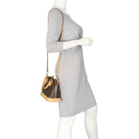 Louis Vuitton Alma BB Monogram | WC