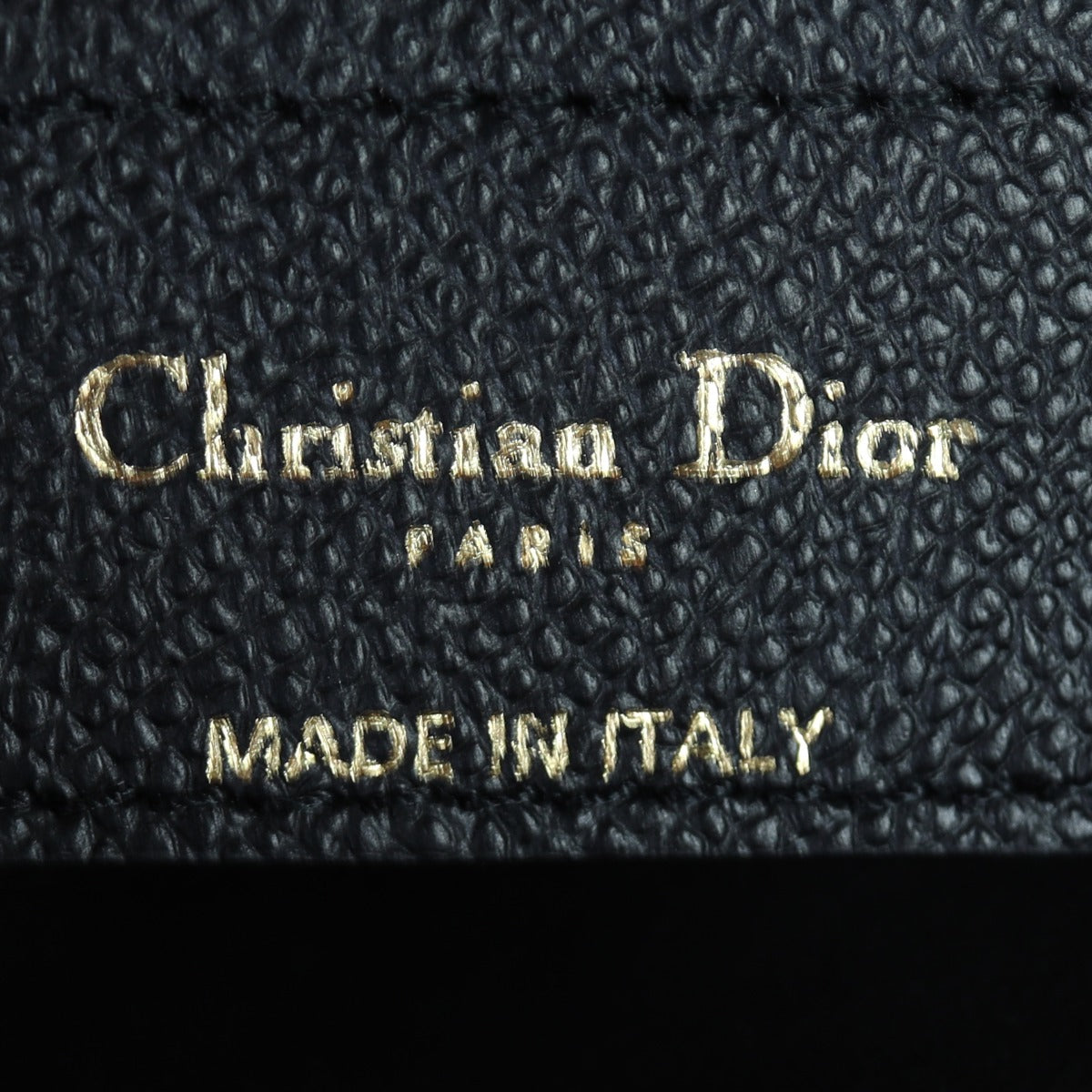 Dior Saddle Bag with Strap