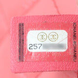 Chanel Aquarium PVC Backpack