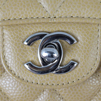 Chanel Classic Double Flap Medium | 11 Series