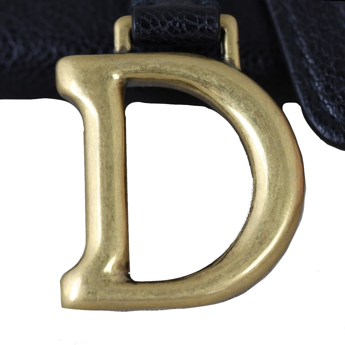 Dior Saddle Pouch Nano Hardware