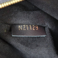 Louis Vuitton Vavin PM Damier Ebene