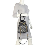 Dior C’est Medium Bag Oblique