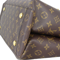 Louis Vuitton Flower Tote Monogram