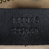 Gucci GG Marmont Mini Camera Bag