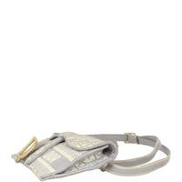 Dior Saddle Belt Pouch