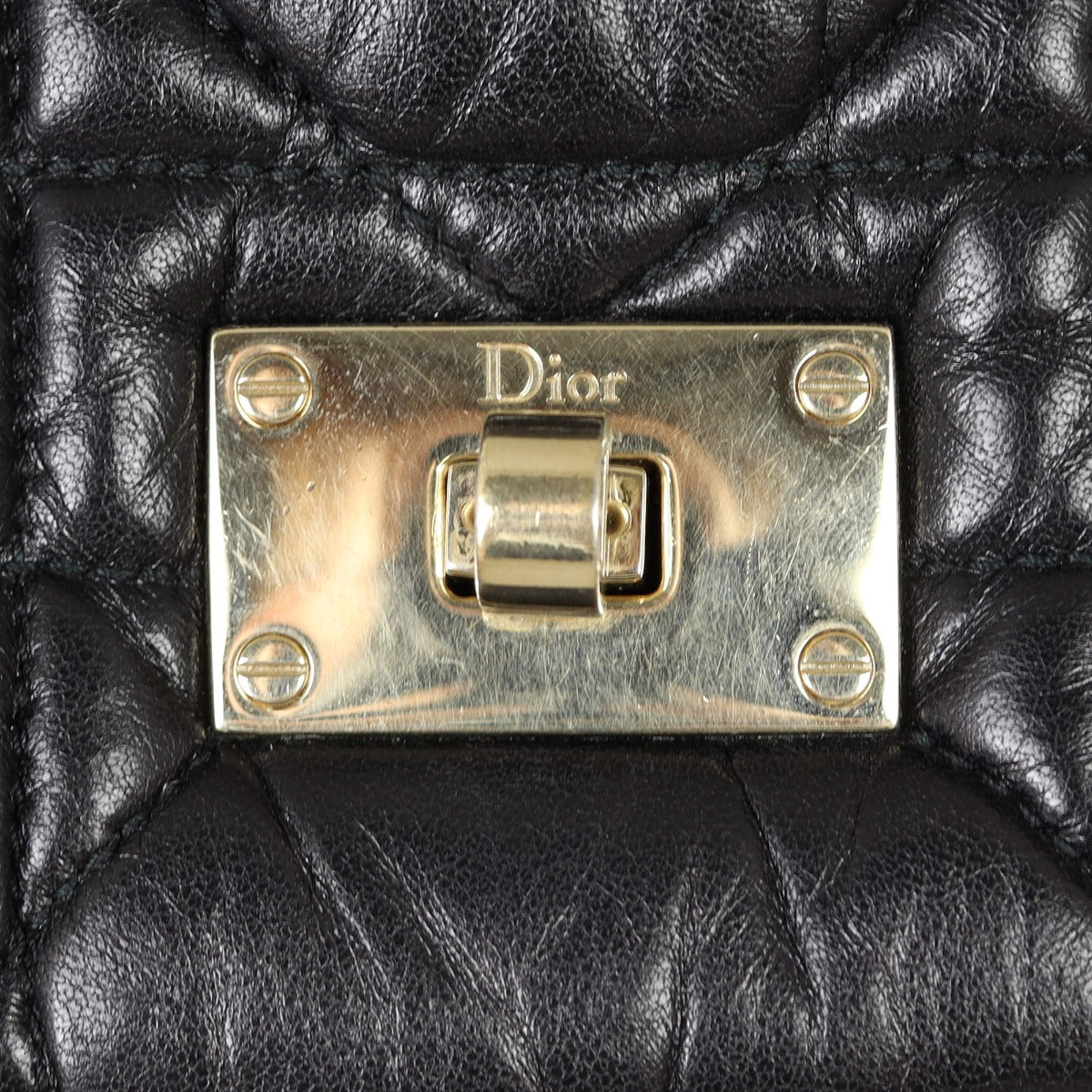 Dior Milly la Foret Cannage Bag