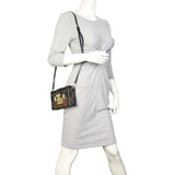 Louis Vuitton Petite Malle Monogram