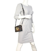 Louis Vuitton Petite Malle Monogram