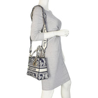 Dior Lady D-Lite Medium