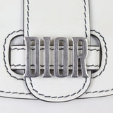 Dior D-Fence Saddle Bag