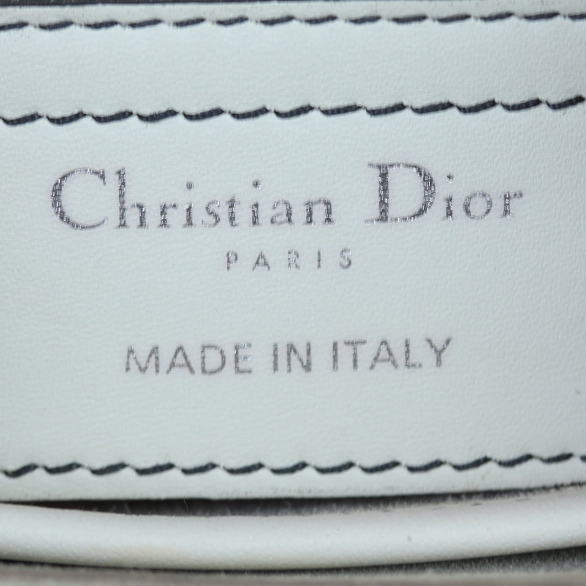 Dior D-Fence Saddle Bag