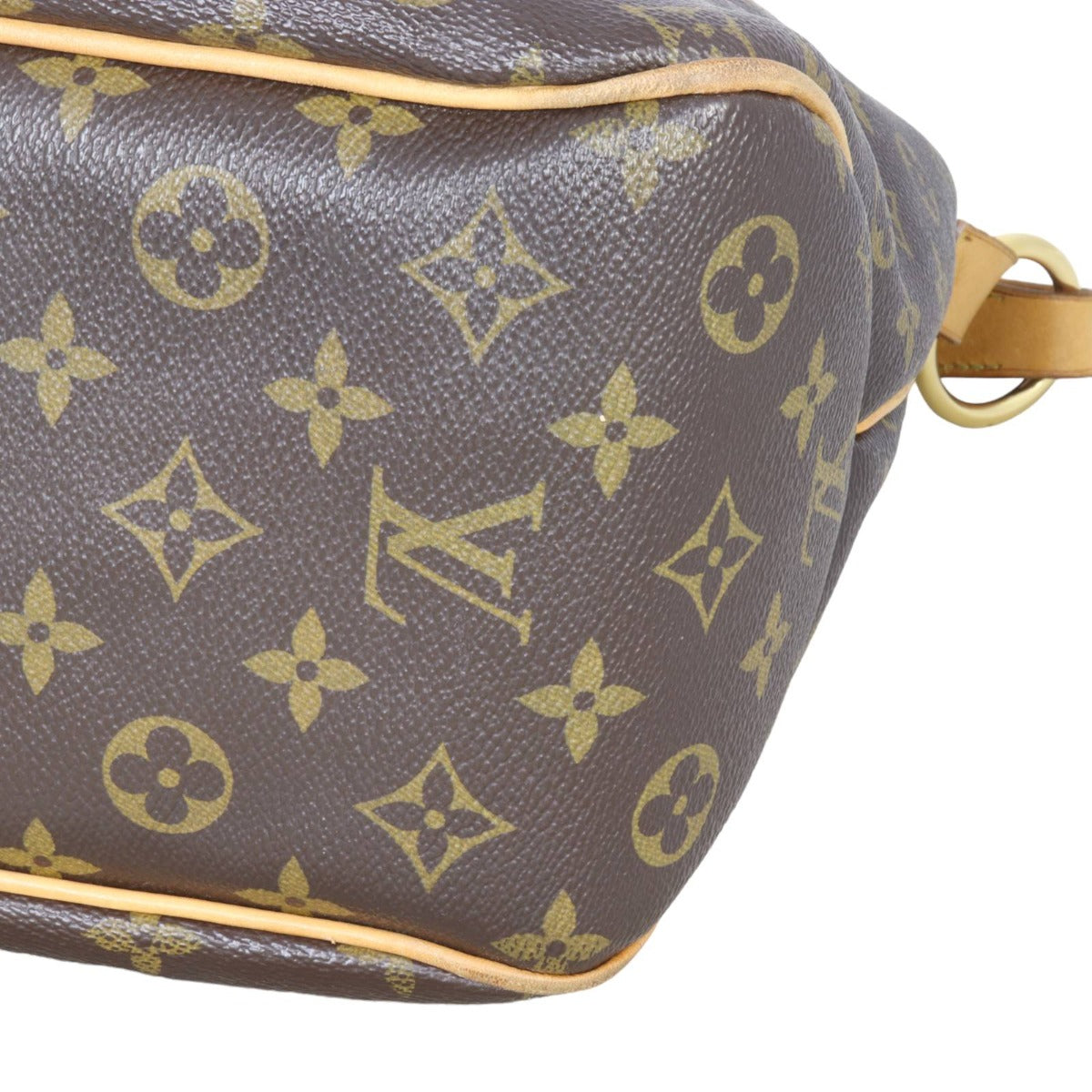Louis Vuitton Delightful PM Monogram