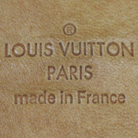 Louis Vuitton Delightful PM Monogram