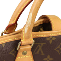 Louis Vuitton Garment Cover Monogram