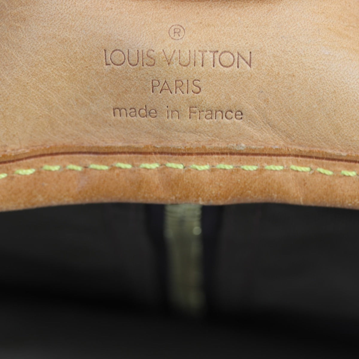 Louis Vuitton Garment Cover Monogram