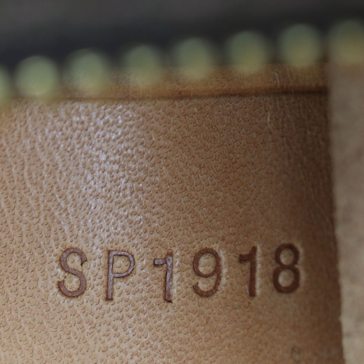 Louis Vuitton Garment Cover Monogram