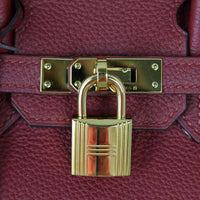 Hermes Birkin 25 Togo Hardware
