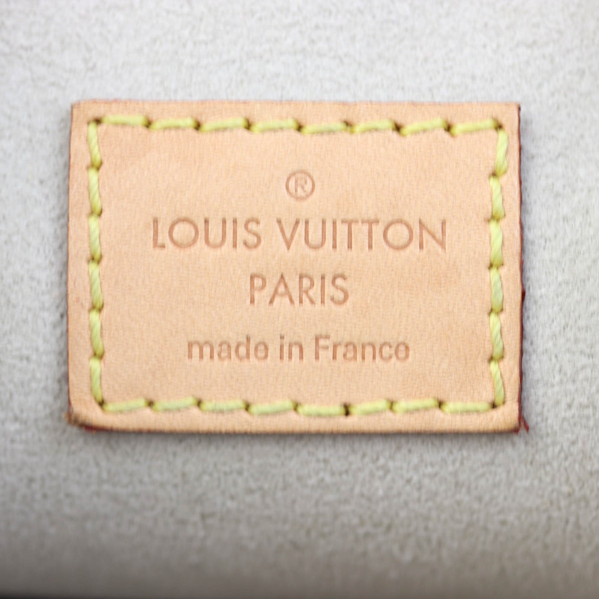 Louis Vuitton Tiny Backpack Monogram Giant By the Pool