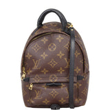 Louis Vuitton Palm Springs Mini Backpack Monogram