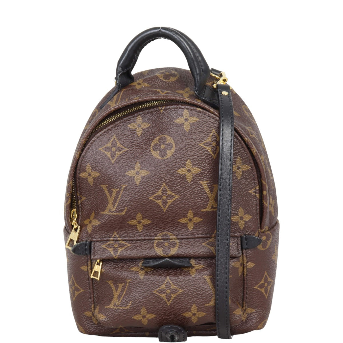 Louis Vuitton Palm Springs Mini Backpack Monogram