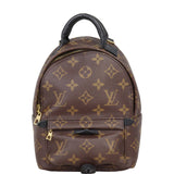 Louis Vuitton Palm Springs Mini Backpack Monogram