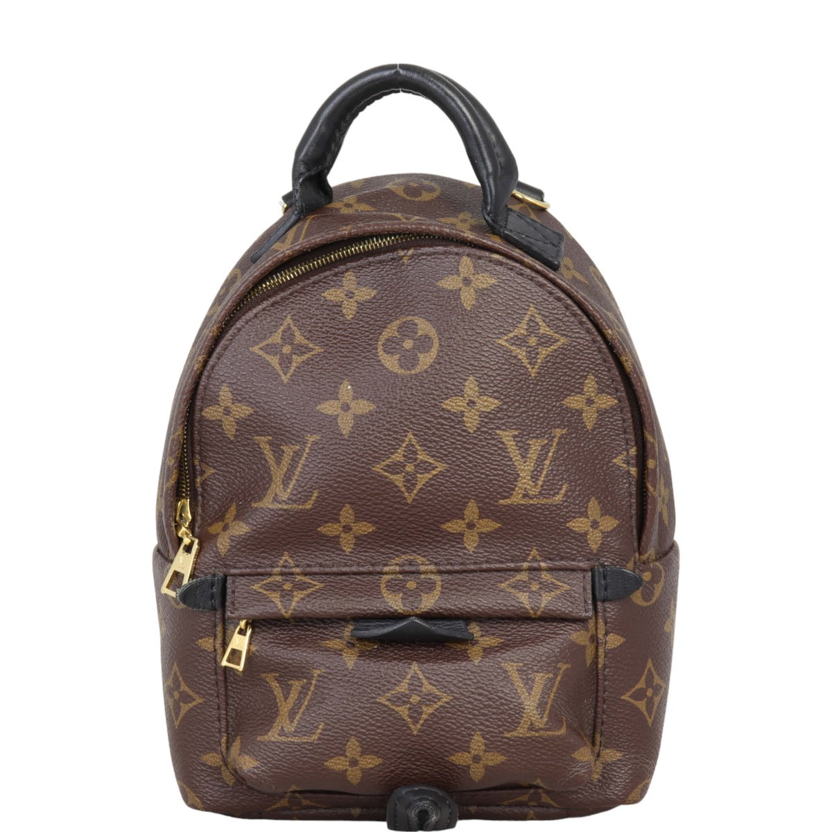 Louis Vuitton Palm Springs Mini Backpack Monogram